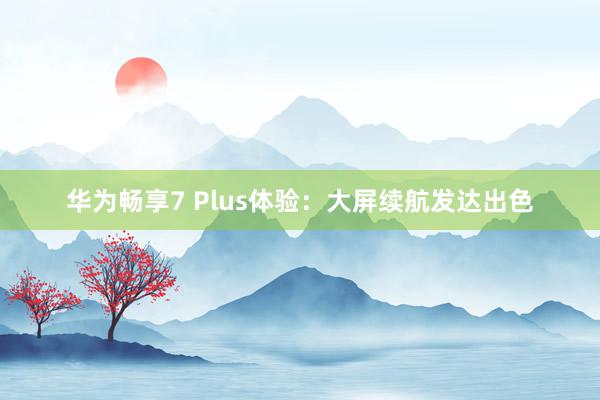 华为畅享7 Plus体验：大屏续航发达出色